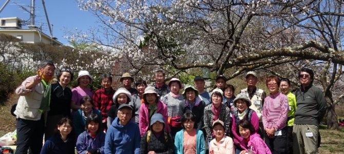 春の公開ハイク：美ノ山(581.5ｍ)お花見ハイキング