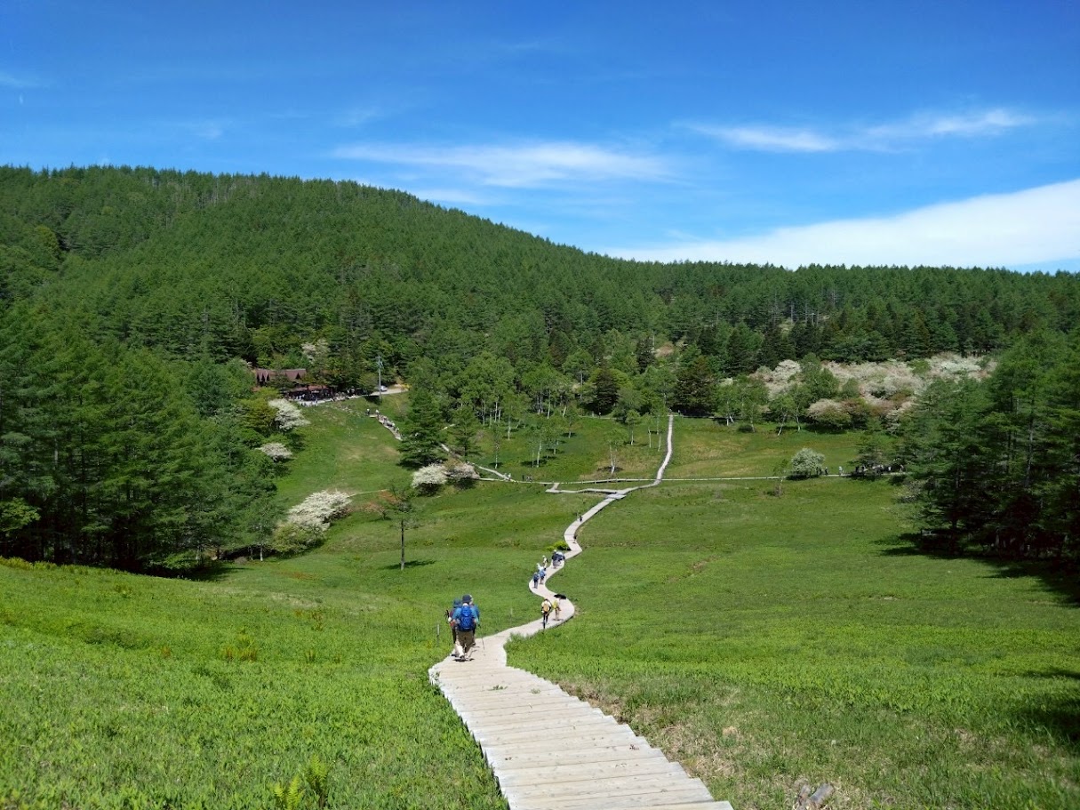 川越ハイキングクラブ・ビスターリ